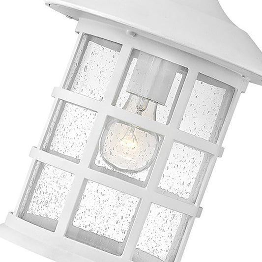 Freeport Exterior Hanging Lantern by Hinkley Lighting