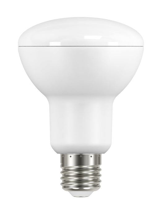 GE LED R80 7.3W ES Warm White Globe