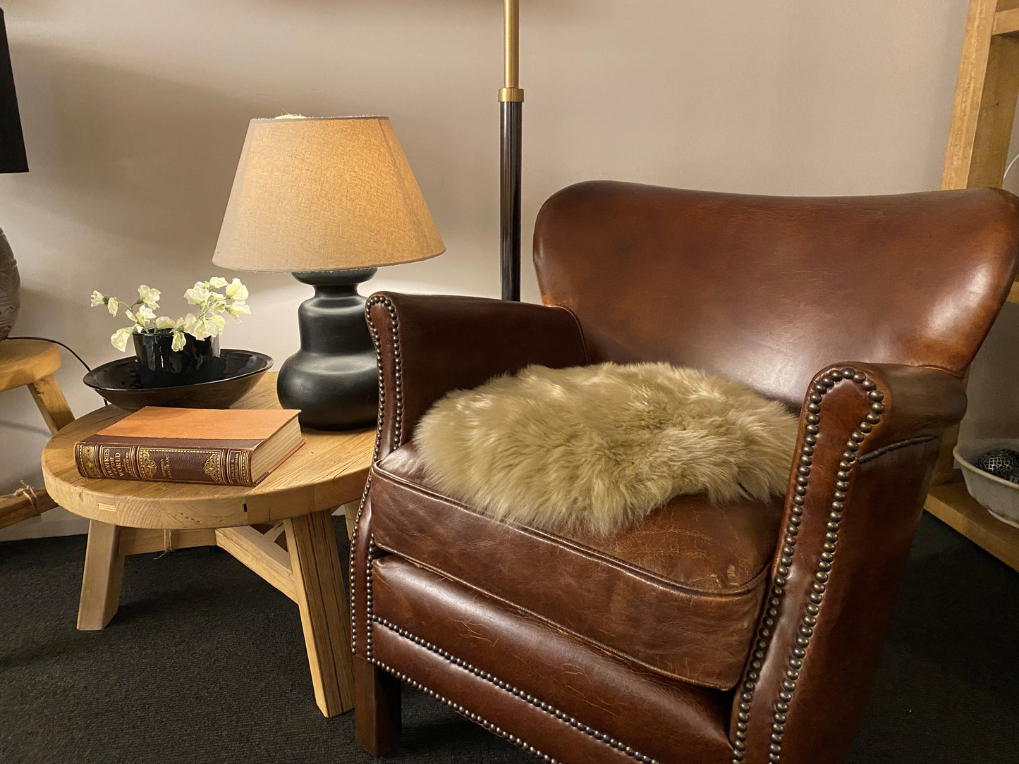 Professor Armchair