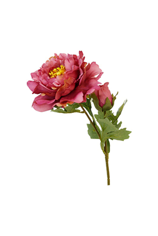Sophie Peony Stem