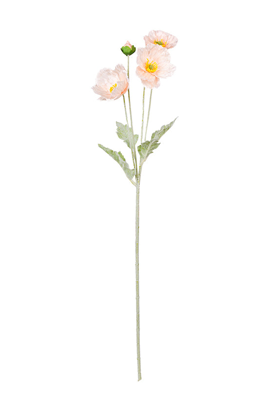 Iceland Poppy Spray