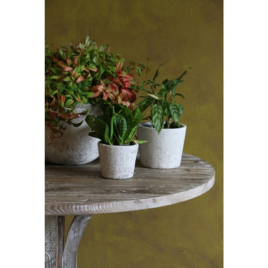 Tuscan Stone Planter