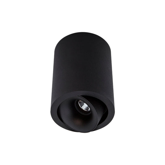 Cevon Dark Art Medium Tilt/Rotate Surface Mount Downlight