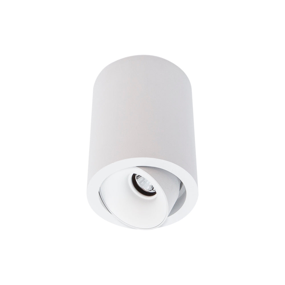 Cevon Dark Art Medium Tilt/Rotate Surface Mount Downlight