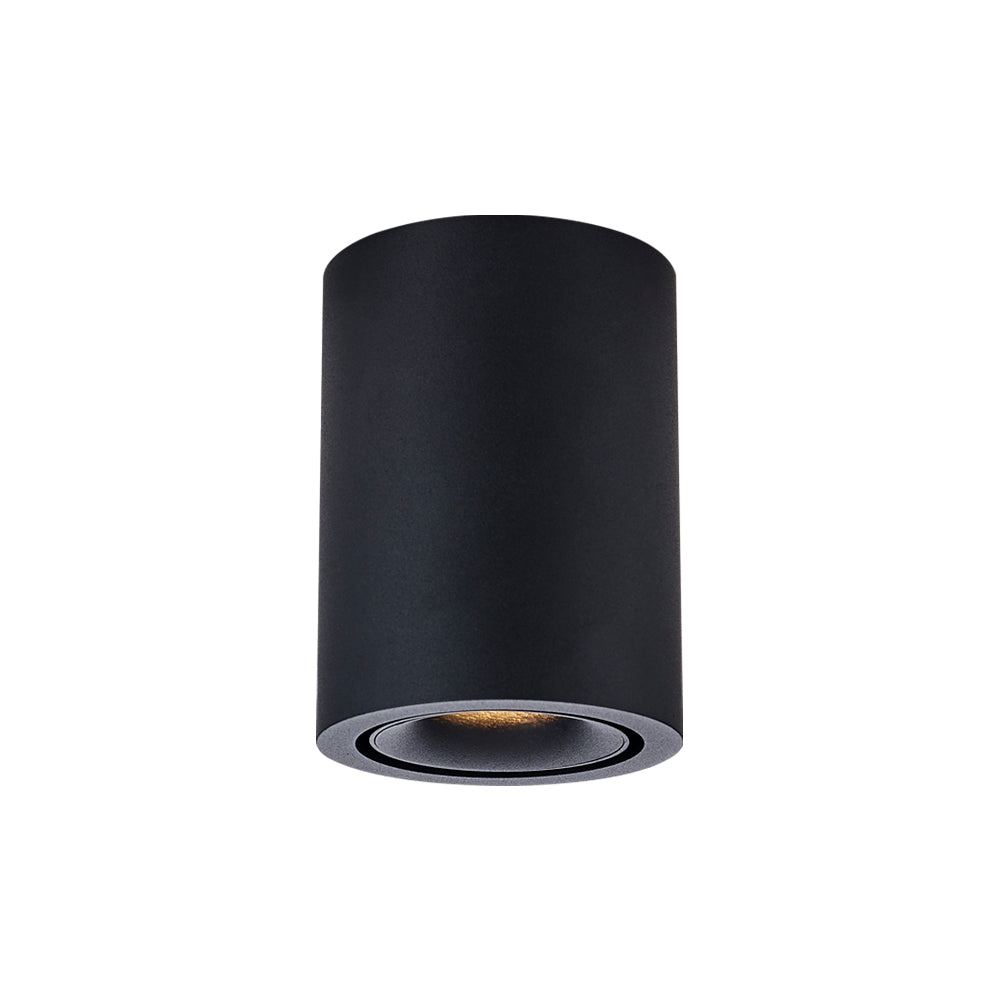 Cevon Dark Art Medium Tilt/Rotate Surface Mount Downlight