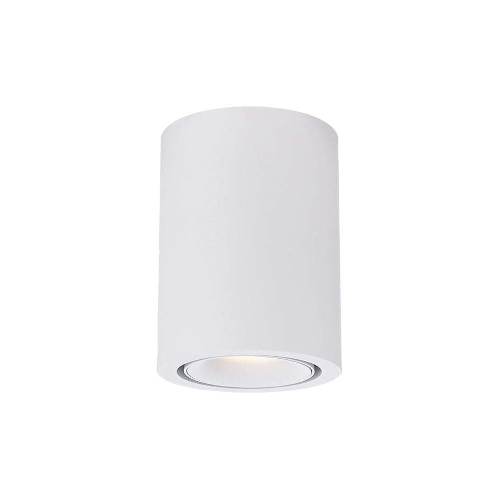 Cevon Dark Art Medium Tilt/Rotate Surface Mount Downlight