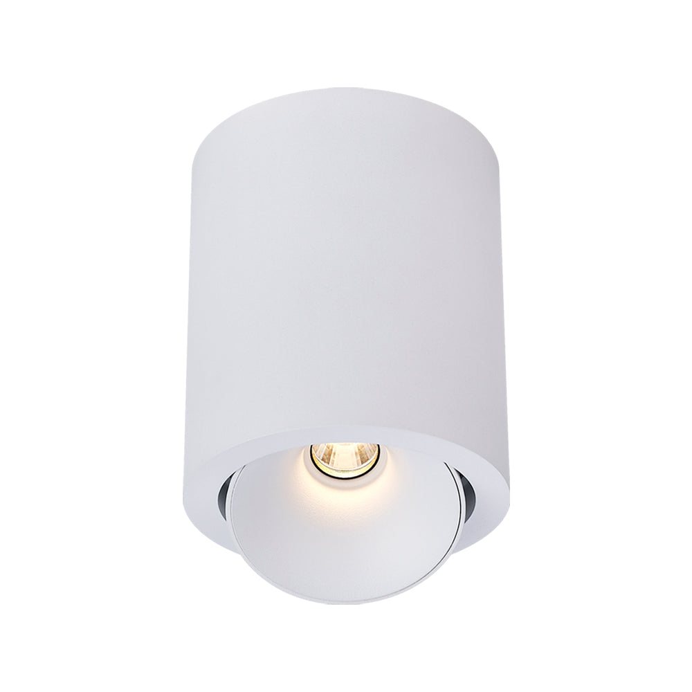 Cevon Dark Art Large Tilt/Rotate Surface Mount Downlight