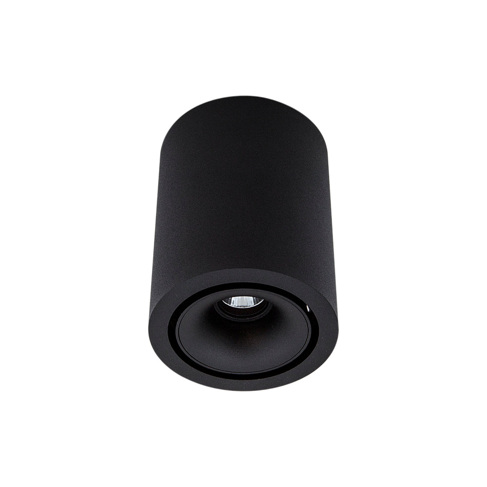 Cevon Dark Art Medium Tilt/Rotate Surface Mount Downlight