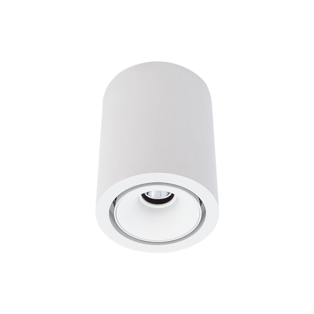 Cevon Dark Art Medium Tilt/Rotate Surface Mount Downlight
