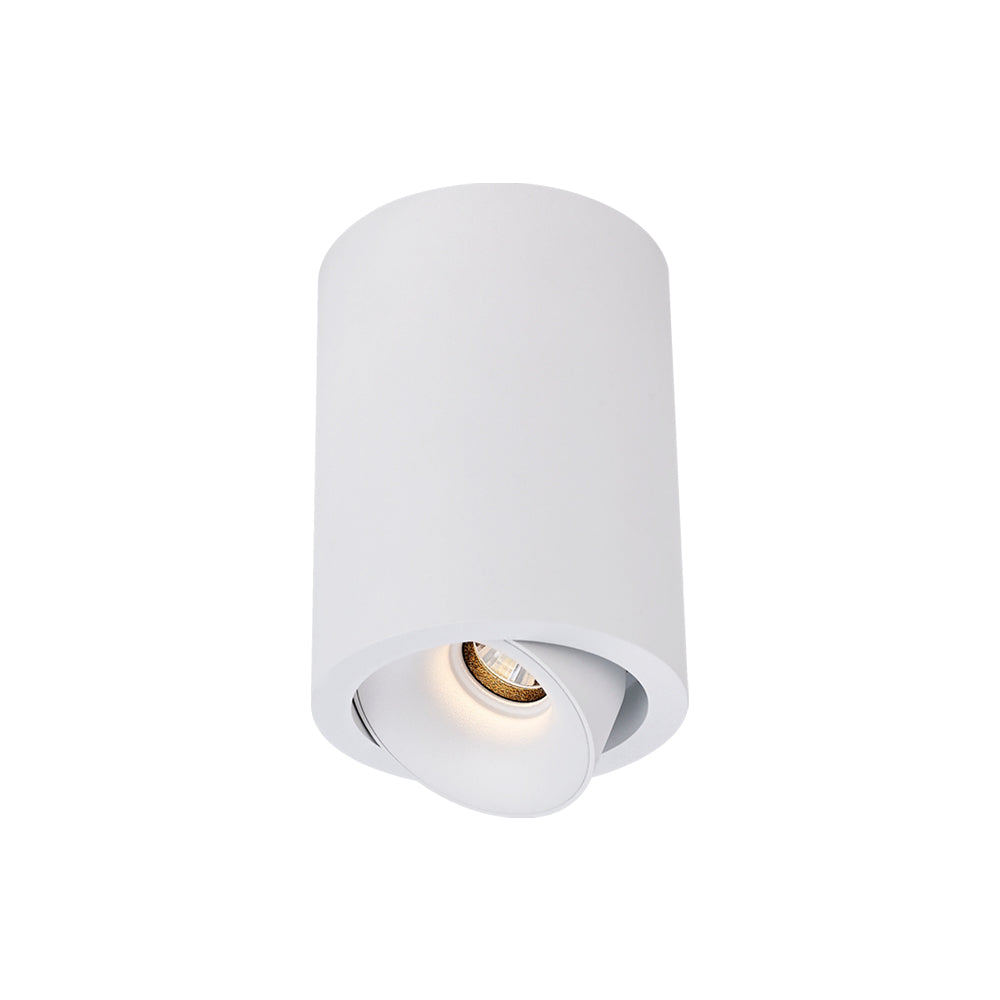 Cevon Dark Art Medium Tilt/Rotate Surface Mount Downlight