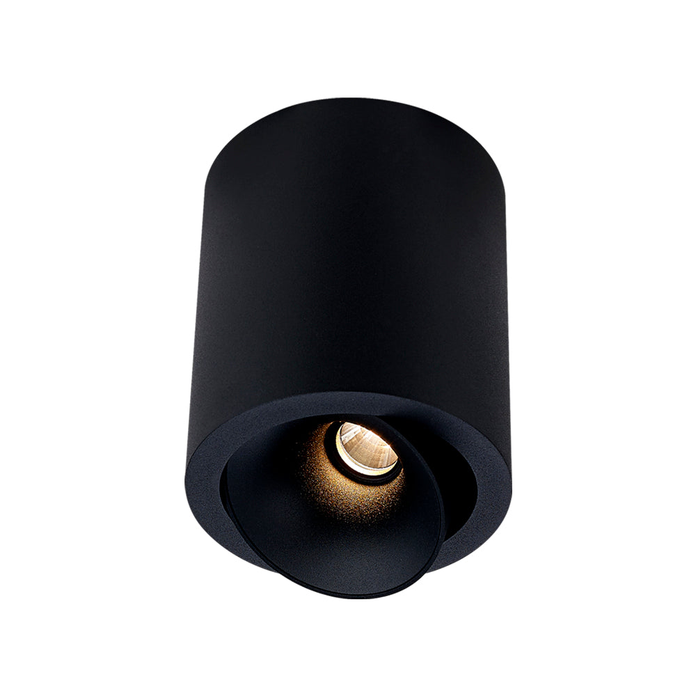 Cevon Dark Art Large Tilt/Rotate Surface Mount Downlight
