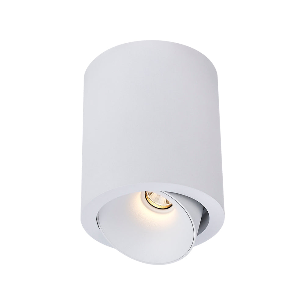 Cevon Dark Art Large Tilt/Rotate Surface Mount Downlight