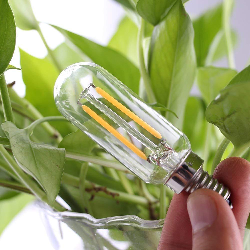 Light Bulbs