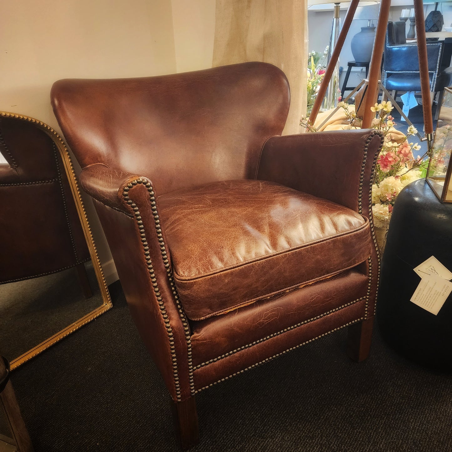 Professor Armchair