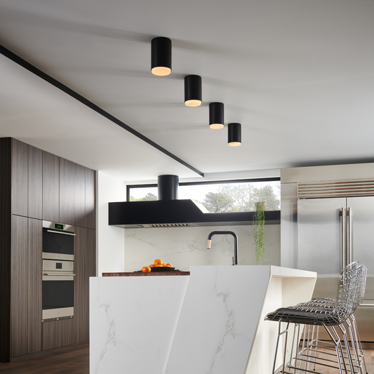 Cedric 1 Light Flush Ceiling Mount by Hinkley Lighting