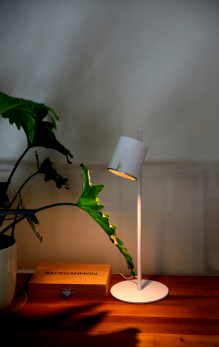 Arlo LED Desk Lamp