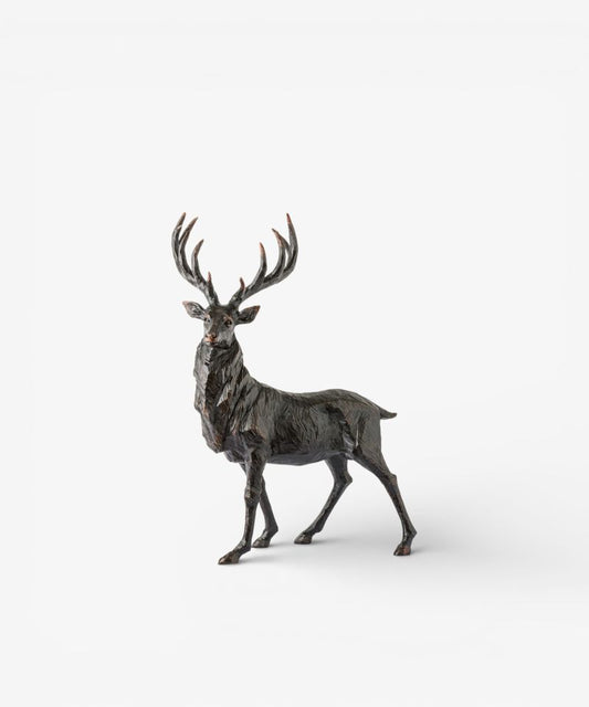 Black Stag - Head Turning