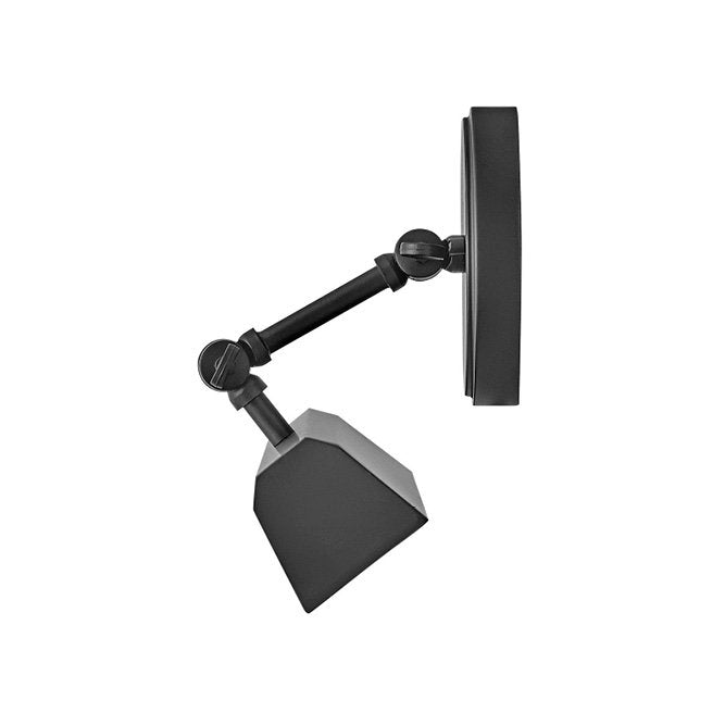 Arti Medium Picture Wall Light by Hinkley Lighting