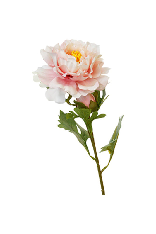 Sophie Peony Stem