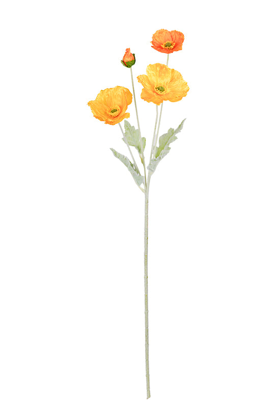 Iceland Poppy Spray