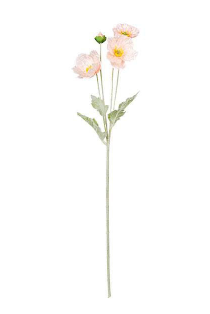 Iceland Poppy Spray