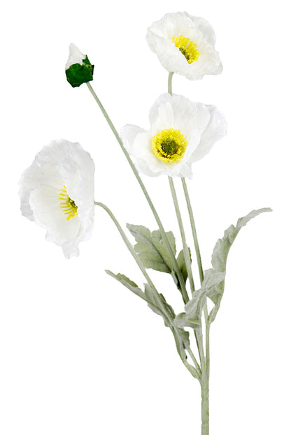 Iceland Poppy Spray