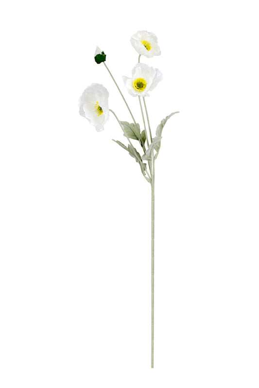 Iceland Poppy Spray