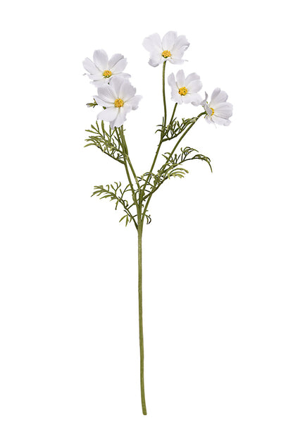 Cosmos Spray