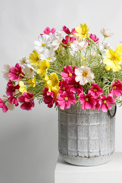 Cosmos Spray