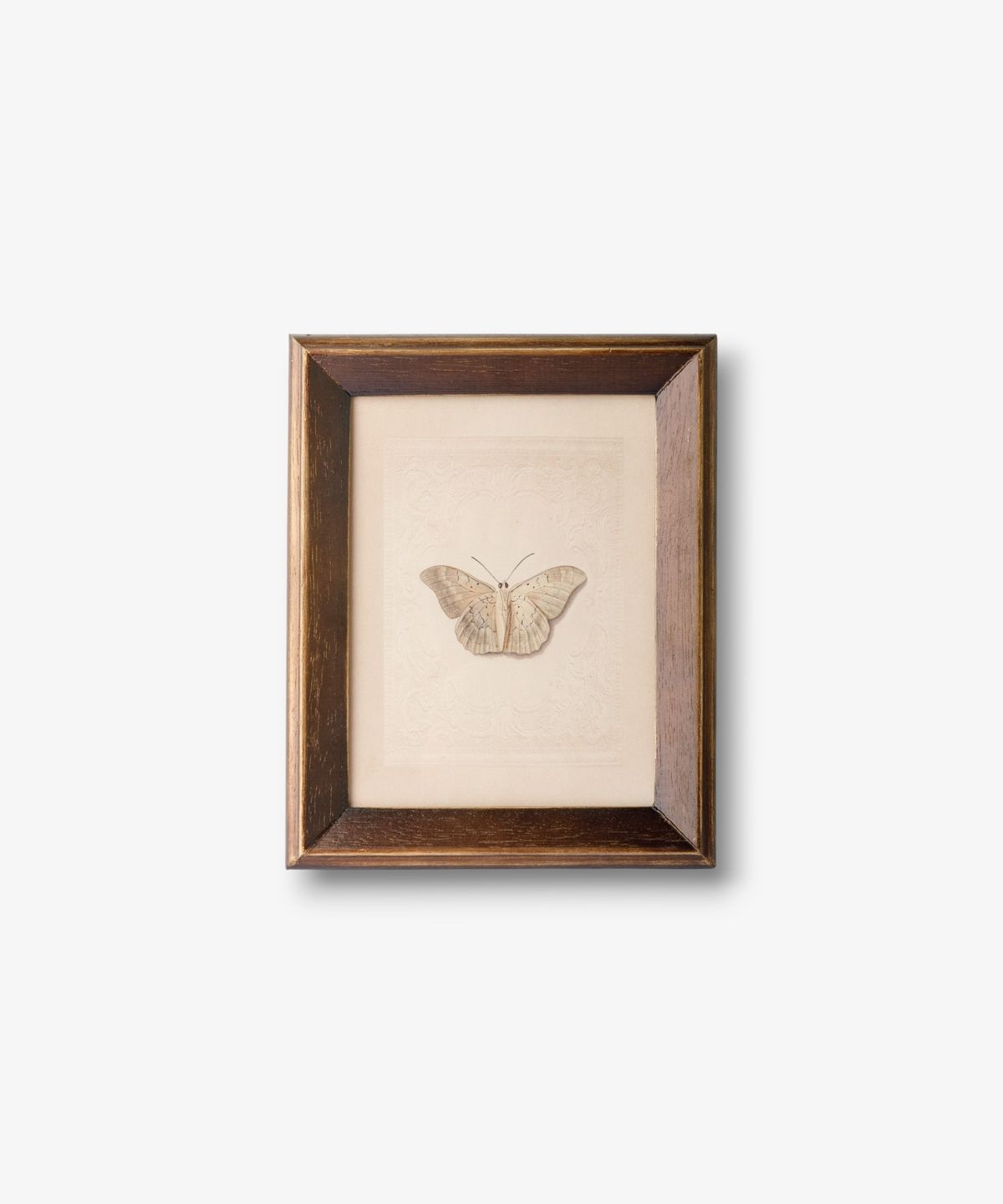 Framed artwork of a butterfly on a beige background