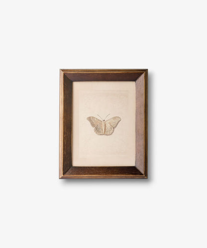 Framed artwork of a butterfly on a beige background