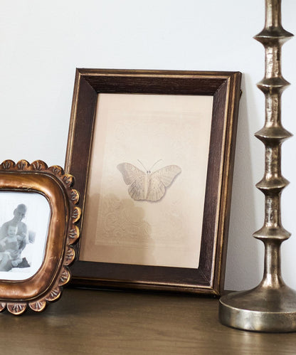Framed butterfly illustration on a table with decorative frames and a table lamp.