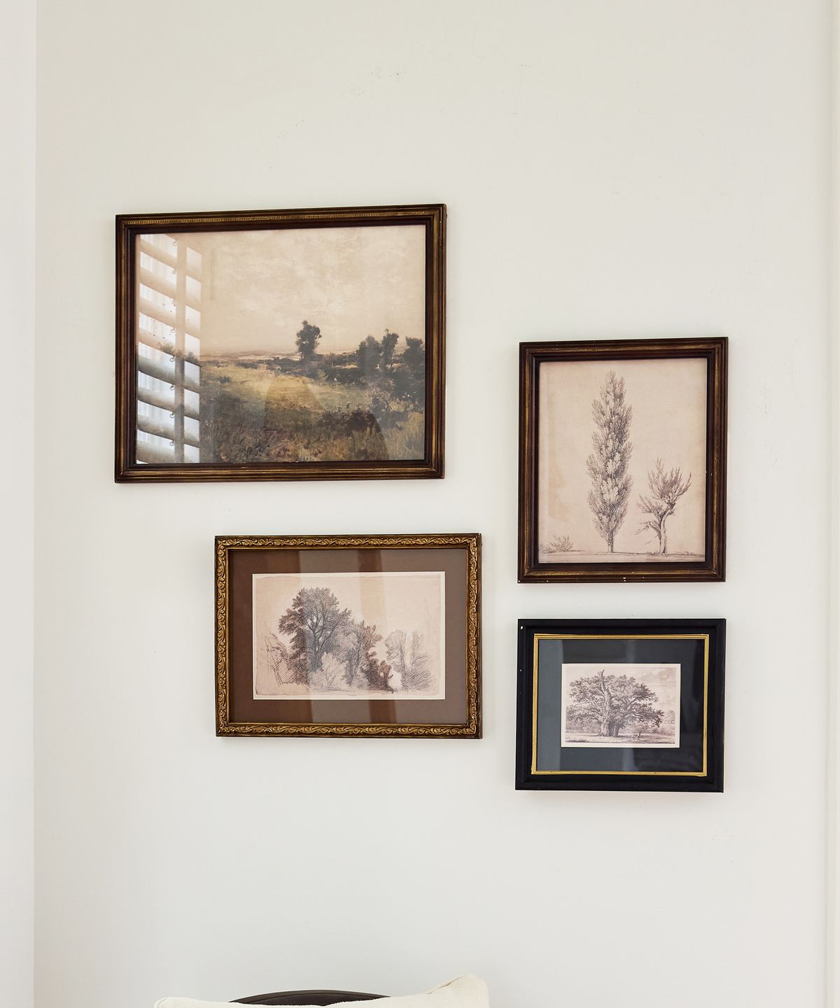 Four framed prints on a wall with nature-themed artwork