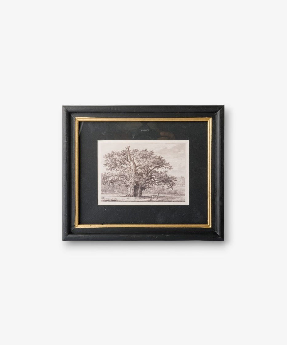 Framed black and white print of a tree on a white background