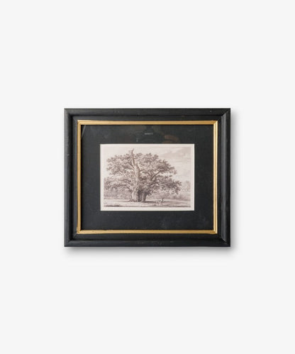Framed black and white print of a tree on a white background