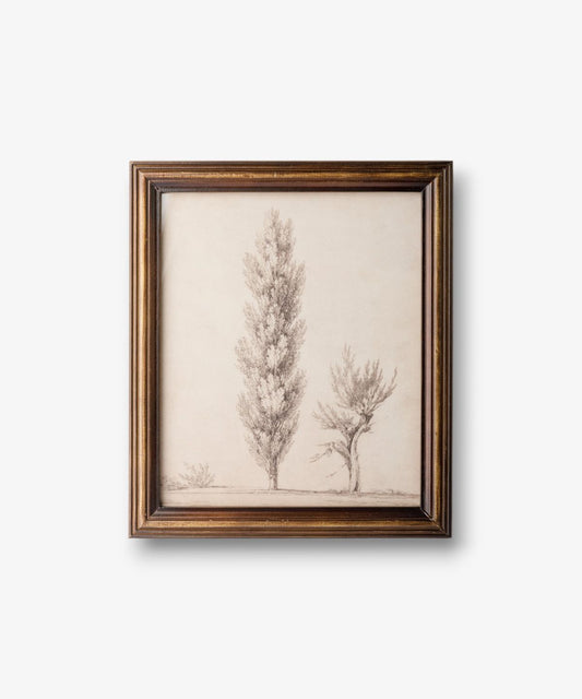 Framed artwork of trees on a white wall
