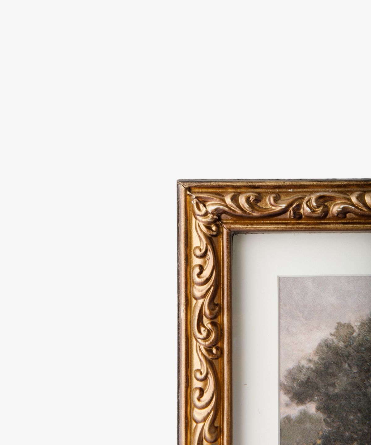 Gold ornate frame with a painting of trees on a white background