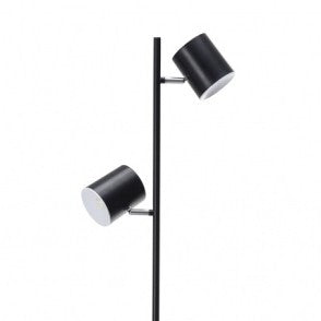 Two adjustable heads