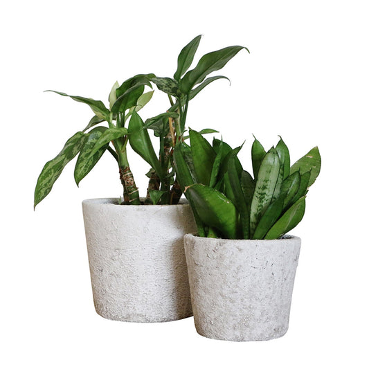 Tuscan Stone Planter