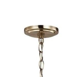 Chain and canopy
