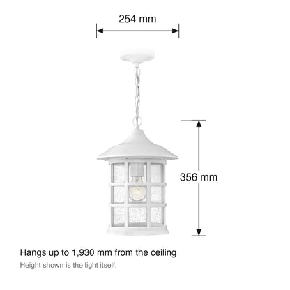 Freeport Exterior Hanging Lantern by Hinkley dimensions in millimetres