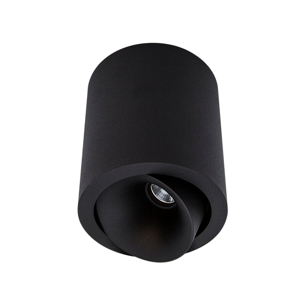 Cevon Dark Art Large Tilt/Rotate Surface Mount Downlight