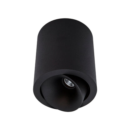 Cevon Dark Art Large Tilt/Rotate Surface Mount Downlight