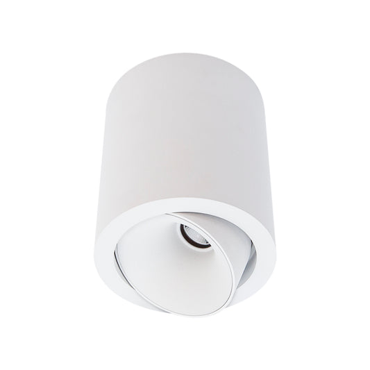Cevon Dark Art Large Tilt/Rotate Surface Mount Downlight