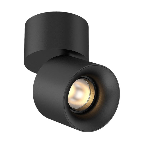 Cevon Pinot Tilt/Rotate Spot by Halcyon in Black