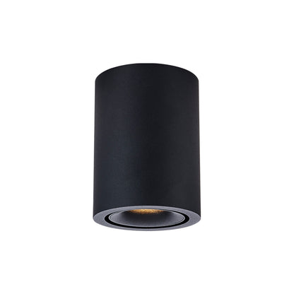 Cevon Dark Art Medium Tilt/Rotate Surface Mount Downlight