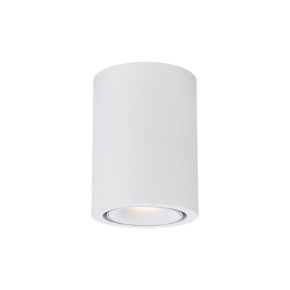 Cevon Dark Art Medium Tilt/Rotate Surface Mount Downlight