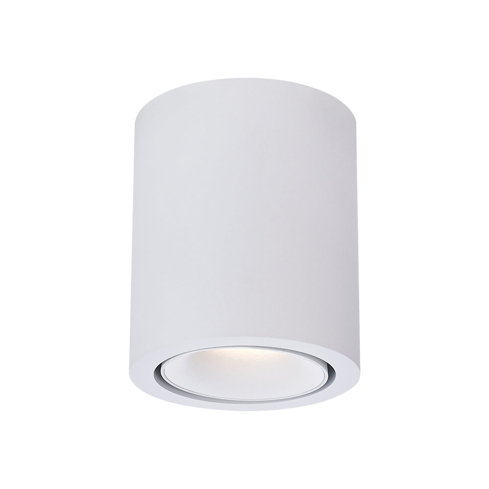 Cevon Dark Art Large Tilt/Rotate Surface Mount Downlight