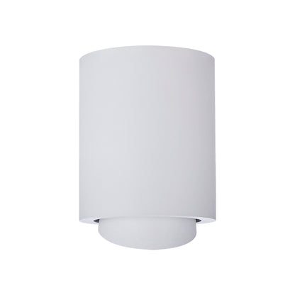 Cevon Dark Art Large Tilt/Rotate Surface Mount Downlight