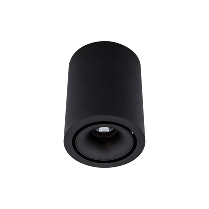 Cevon Dark Art Medium Tilt/Rotate Surface Mount Downlight